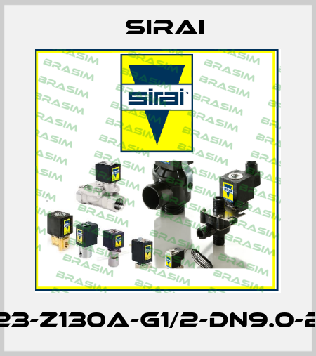 D132D23-Z130A-G1/2-DN9.0-24V/AC Sirai