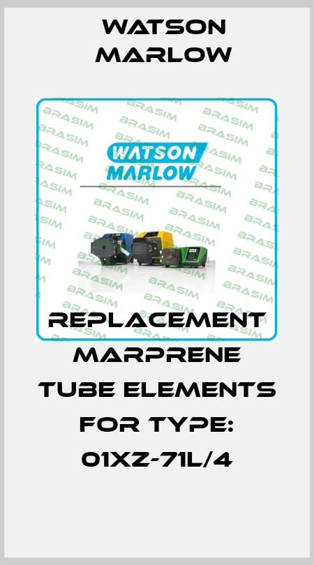 replacement Marprene Tube elements for Type: 01XZ-71L/4 Watson Marlow