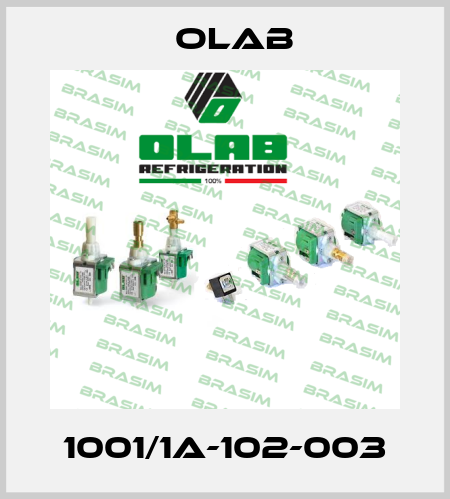 1001/1A-102-003 Olab