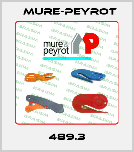 489.3 Mure-Peyrot