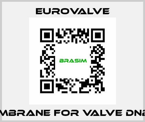 membrane for valve DN250 Eurovalve