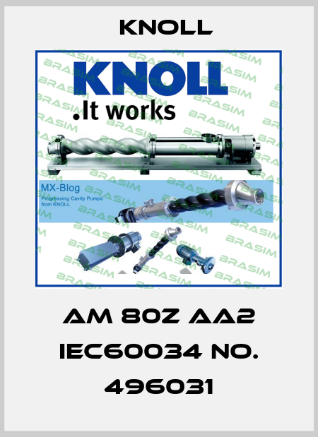 AM 80Z AA2 IEC60034 NO. 496031 KNOLL