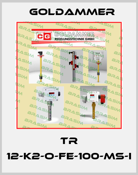 TR 12-K2-O-FE-100-MS-I Goldammer
