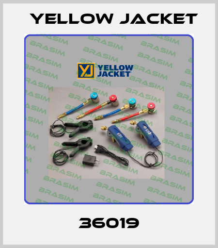 36019 Yellow Jacket