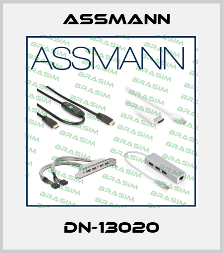 DN-13020 Assmann