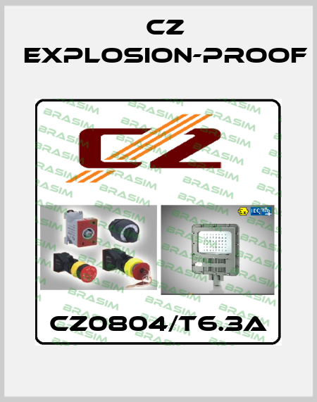 CZ0804/T6.3A CZ Explosion-proof