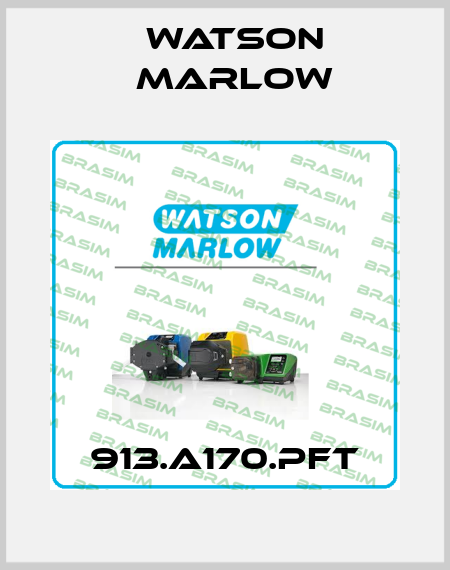 913.A170.PFT Watson Marlow