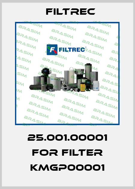 25.001.00001 for filter KMGP00001 Filtrec