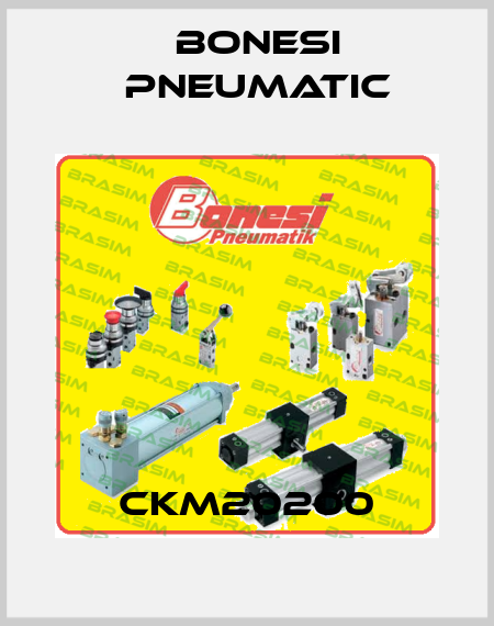 CKM20200 Bonesi Pneumatic