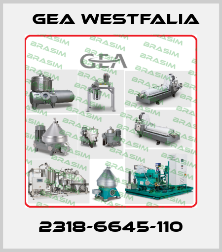 2318-6645-110 Gea Westfalia