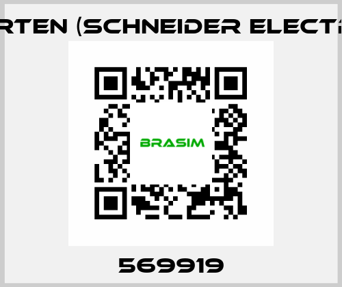 569919 Merten (Schneider Electric)
