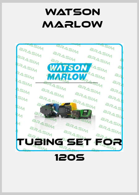 tubing set for 120S Watson Marlow