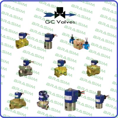 S211GH02T4EG5 GC Valves