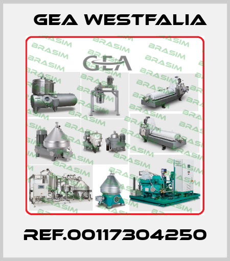 REF.00117304250 Gea Westfalia