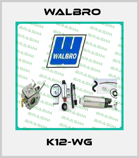 K12-WG Walbro
