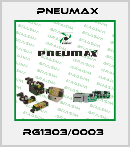 RG1303/0003  Pneumax