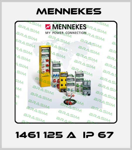 1461 125 A  IP 67  Mennekes
