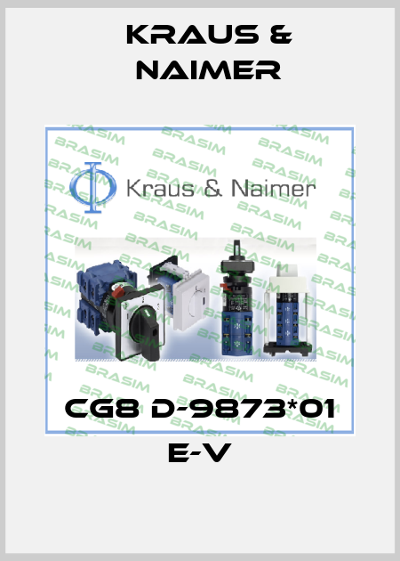 CG8 D-9873*01 E-V Kraus & Naimer