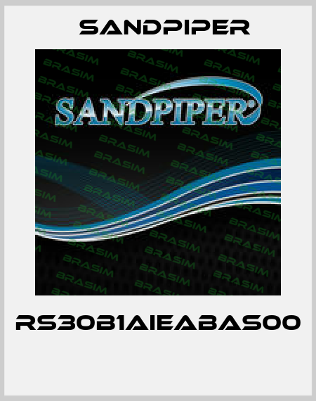 RS30B1AIEABAS00  Sandpiper