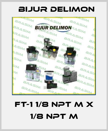 FT-1 1/8 NPT M X 1/8 NPT M Bijur Delimon
