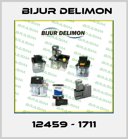 12459 - 1711 Bijur Delimon