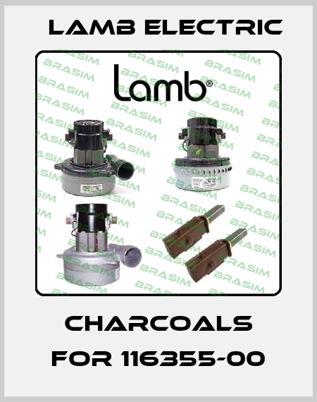 Charcoals for 116355-00 Lamb Electric