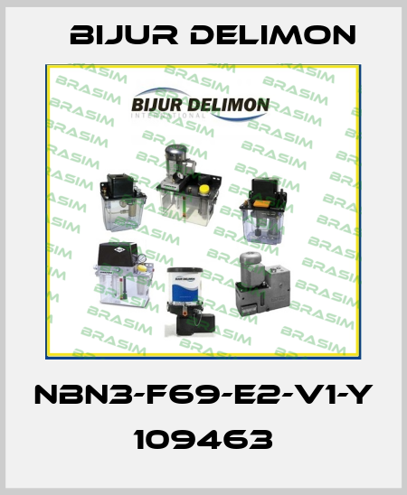 NBN3-F69-E2-V1-Y 109463 Bijur Delimon