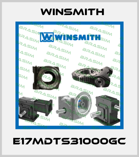 E17MDTS31000GC Winsmith