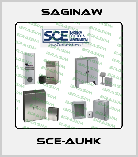 SCE-AUHK Saginaw