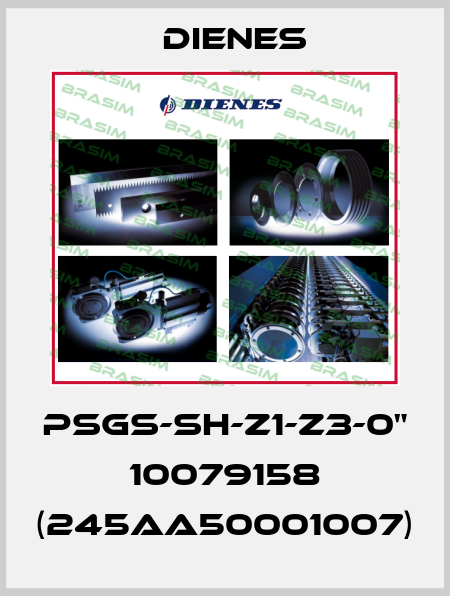 PSGs-SH-Z1-Z3-0" 10079158 (245AA50001007) Dienes