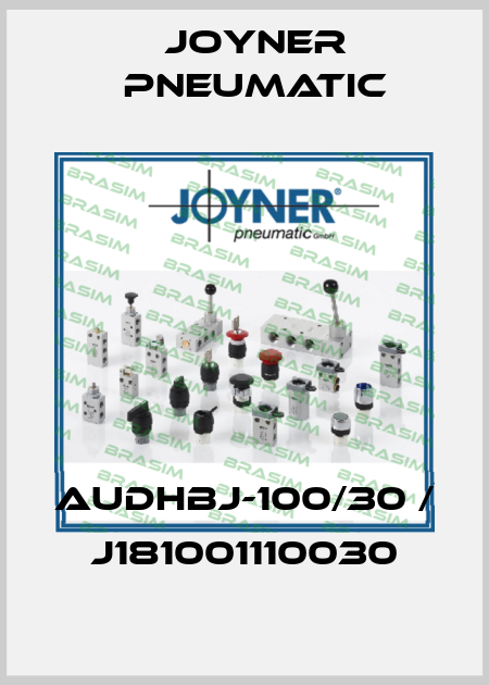 AUDHBJ-100/30 / J181001110030 Joyner Pneumatic