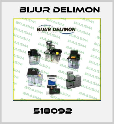 518092 	 Bijur Delimon
