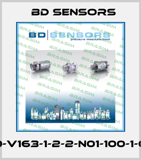 780-V163-1-2-2-N01-100-1-000 Bd Sensors