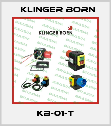 KB-01-T Klinger Born