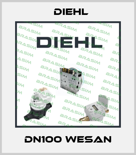DN100 WESAN Diehl