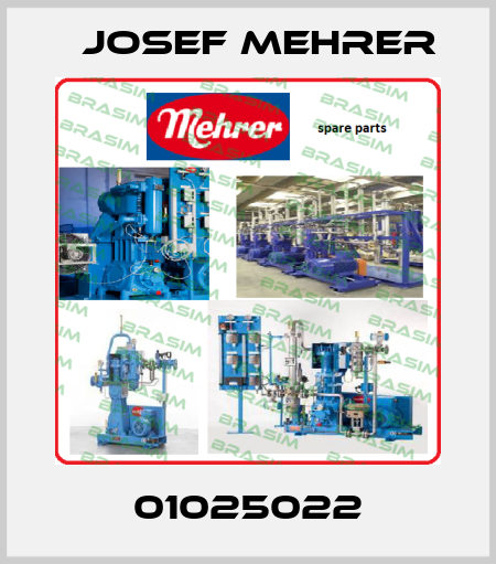 01025022 Josef Mehrer