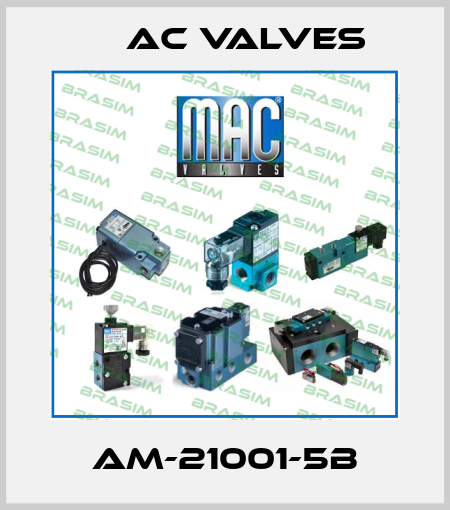 AM-21001-5B МAC Valves