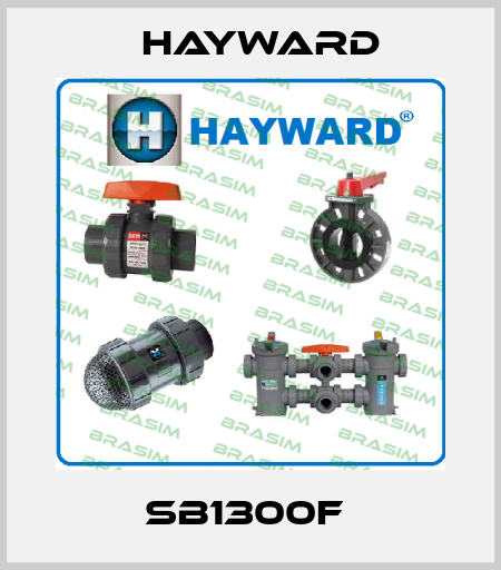 SB1300F  HAYWARD