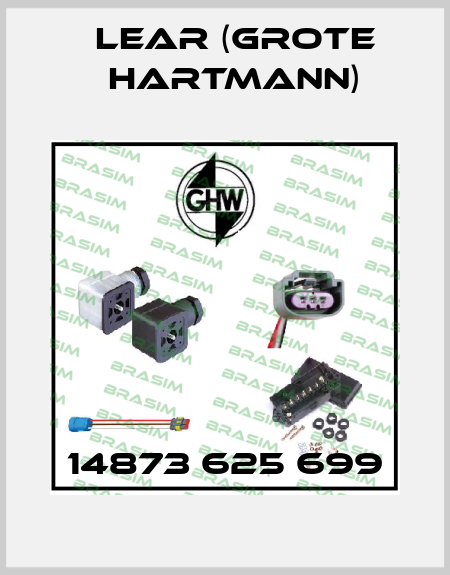 14873 625 699 Lear (Grote Hartmann)