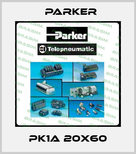 PK1A 20X60 Parker