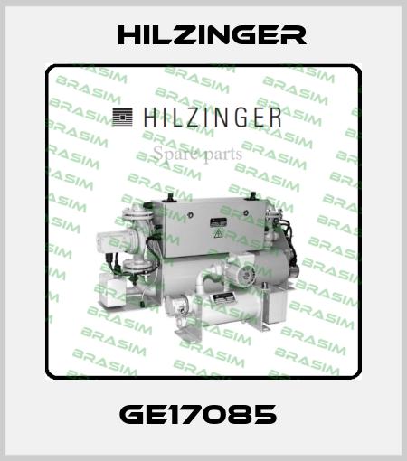 GE17085  Hilzinger