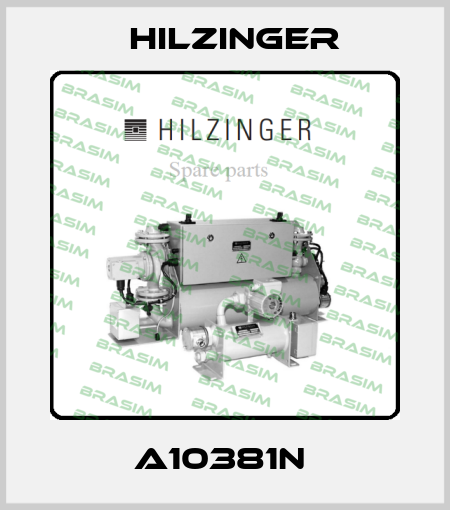 A10381n  Hilzinger