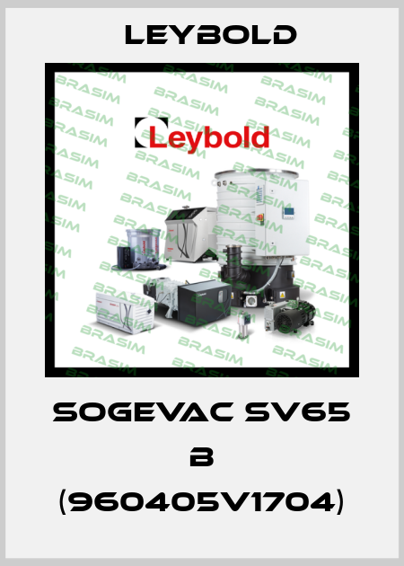 SOGEVAC SV65 B (960405V1704) Leybold