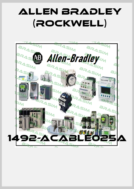 1492-ACABLE025A  Allen Bradley (Rockwell)