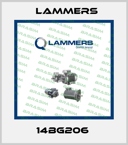 14BG206  Lammers