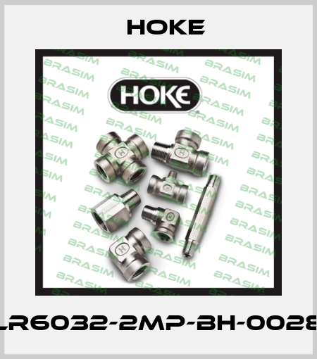 LR6032-2MP-BH-0028 Hoke