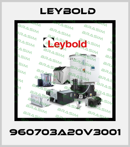 960703A20V3001 Leybold