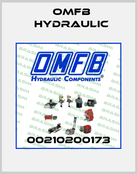 00210200173 OMFB Hydraulic