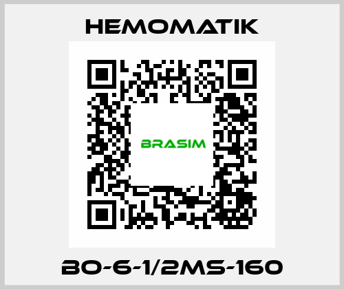 BO-6-1/2MS-160 Hemomatik
