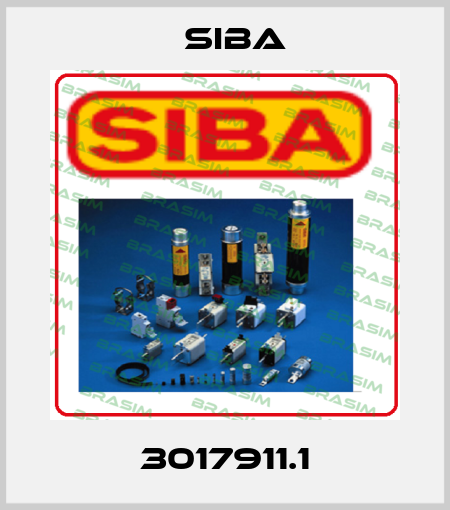 3017911.1 Siba